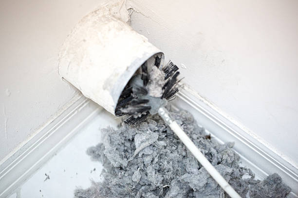 Best Air Duct Sanitizing Services  in Walnut Grove, GA