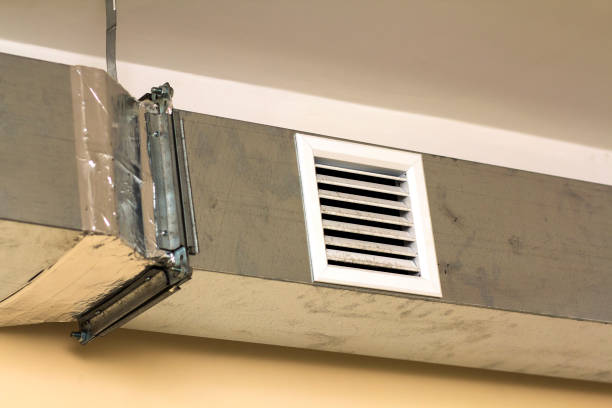 Best HVAC Duct Inspection Services  in Walnut Grove, GA